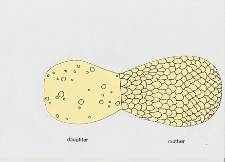self-made the new reality, installation, drawing, mia diener