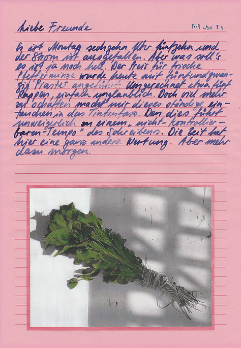 liebe freunde, dear friends, letters, egypt, mixed media, mia diener