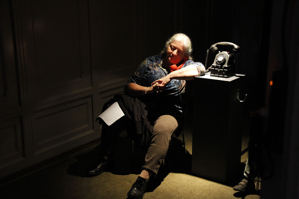 the house No. 15, radio play, telephone, phones, installation, audio, mia diener