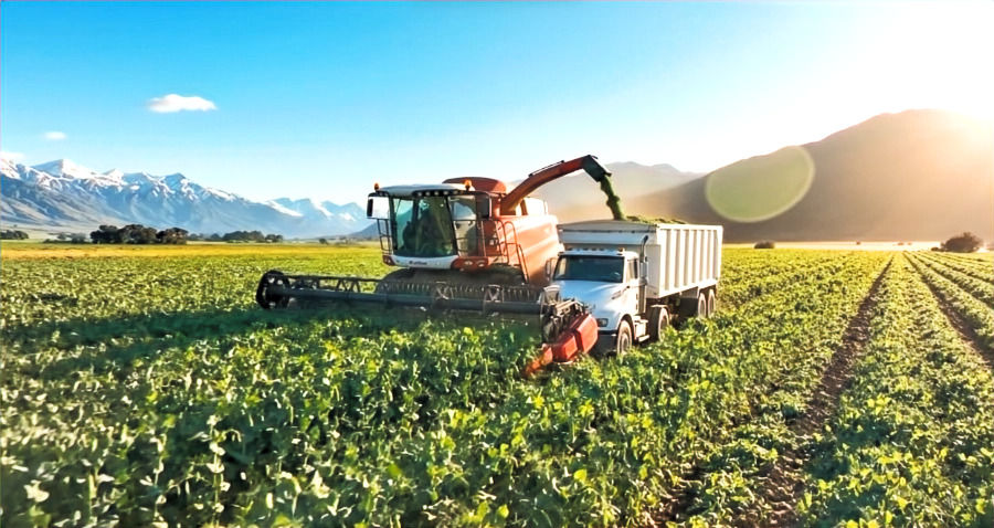 Harvestor with high bin truck