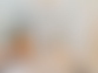 Converting a Multiplex into a Single Family Home