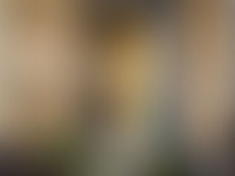 Ouverture d'un Café à Montréal