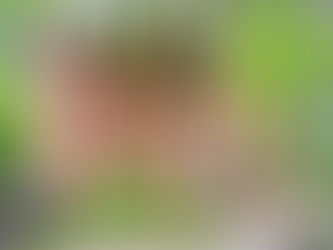 Multiplex Conversion into a Family Home