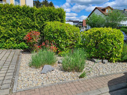 Garten1