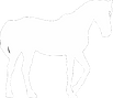 ERDV_caballo.png