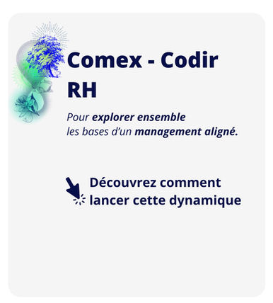 Séminaire COMEX CODIR RH