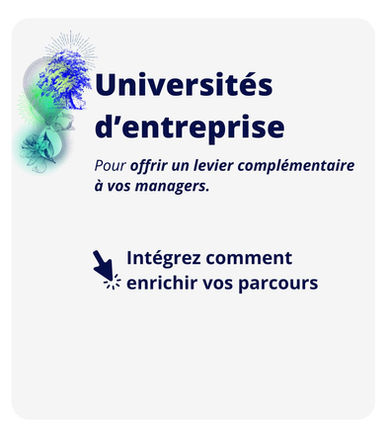 Universités d'entreprise la Fresque du manager