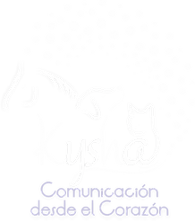 Kysha, Comunicación del Corazón