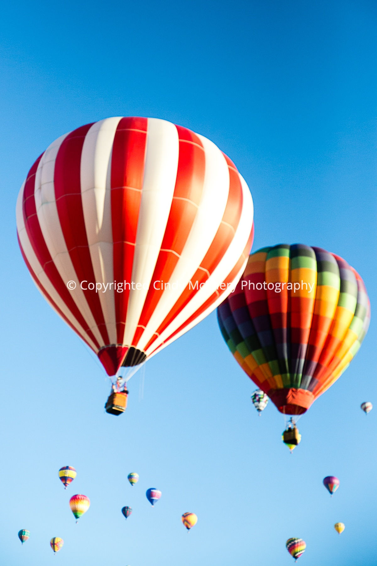 Balloon Festival #13