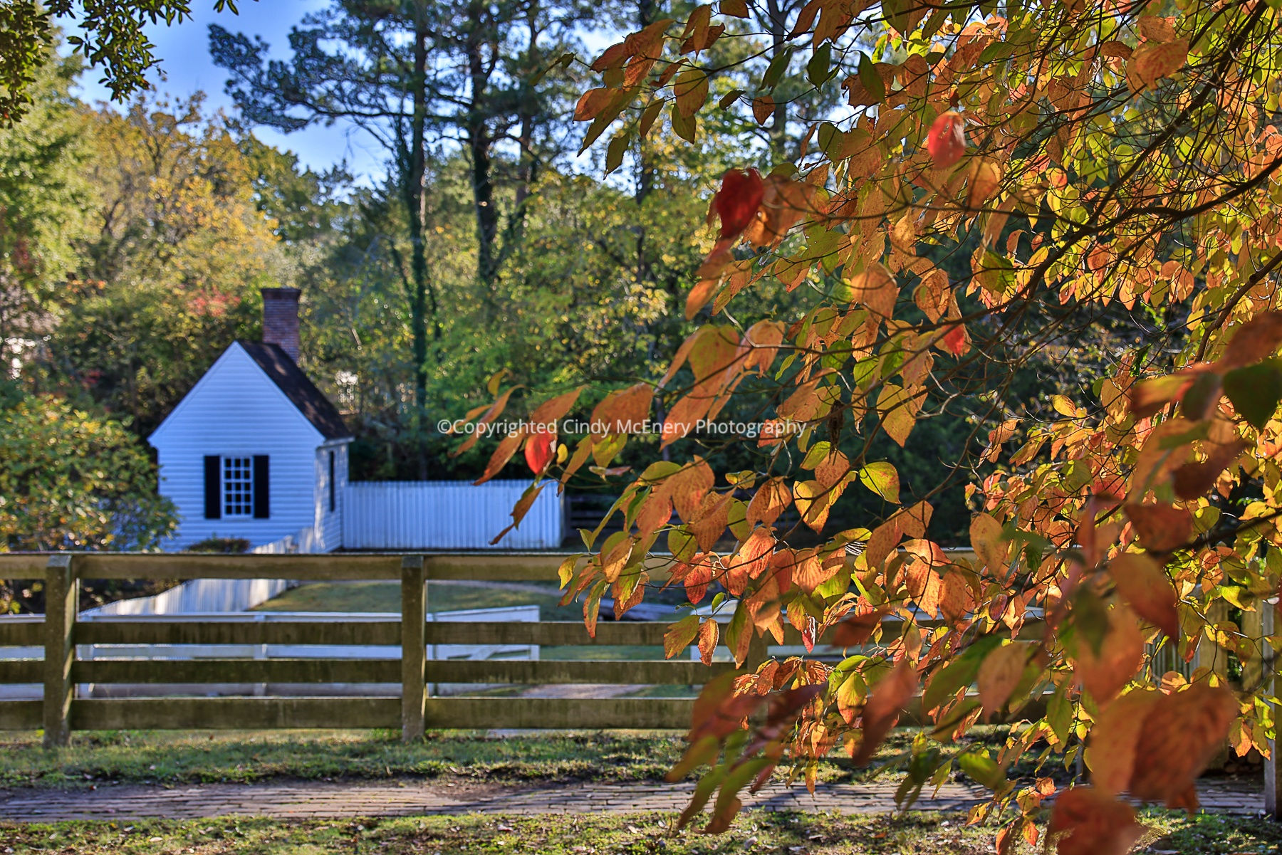 Colonial Williamsburg Fall I