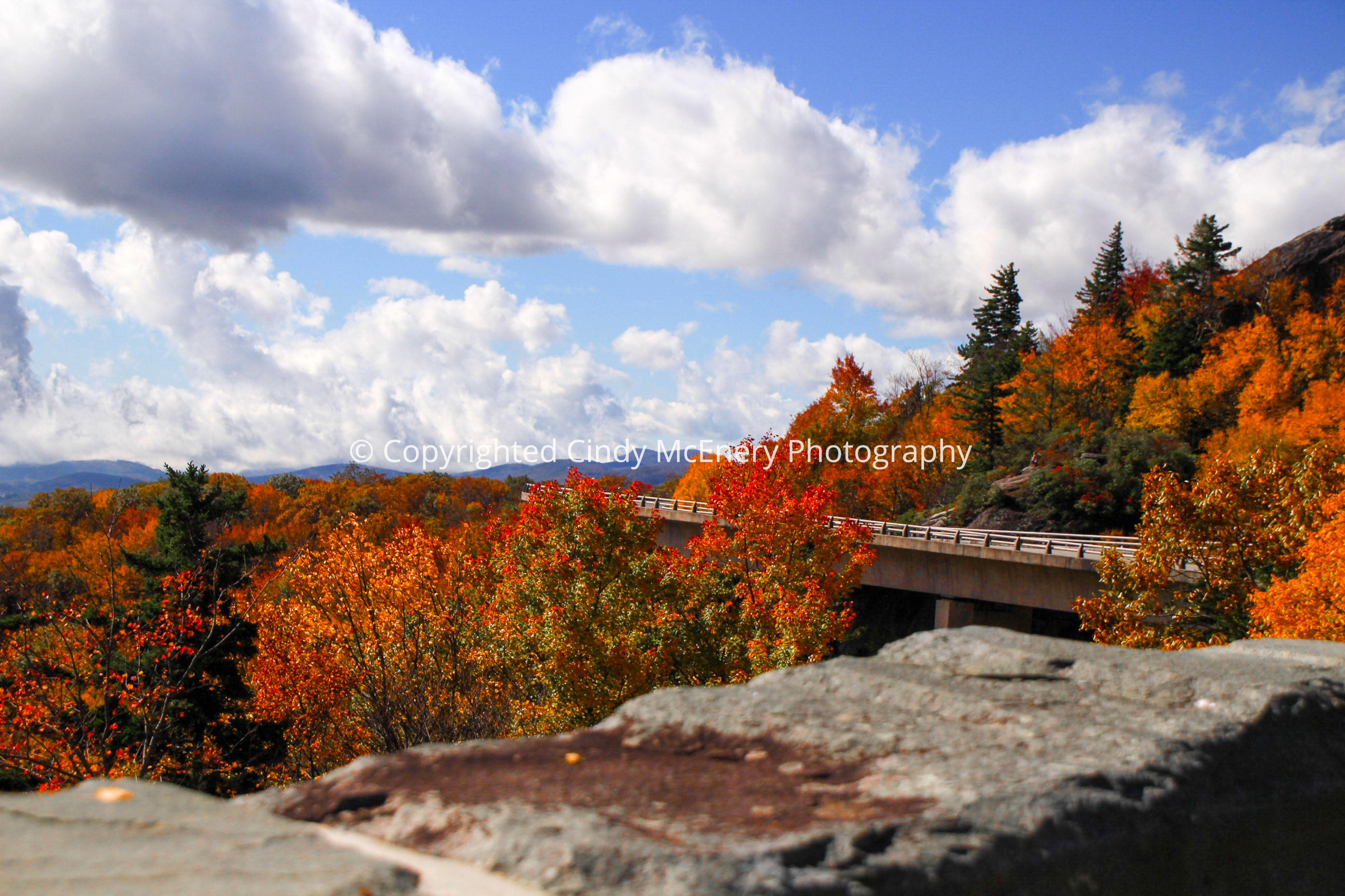 Fall Parkway #3