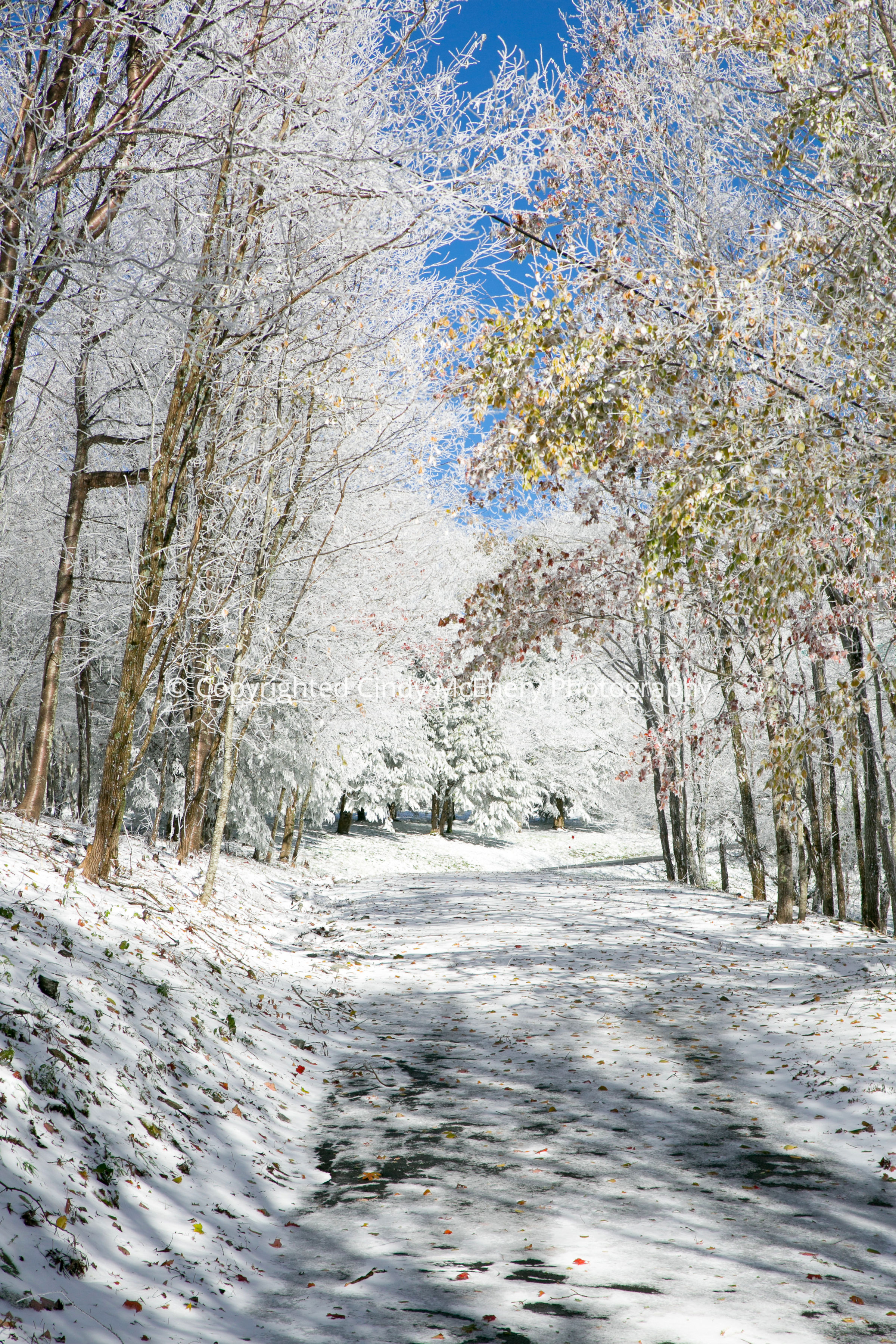 Winter #2 | Banner Elk