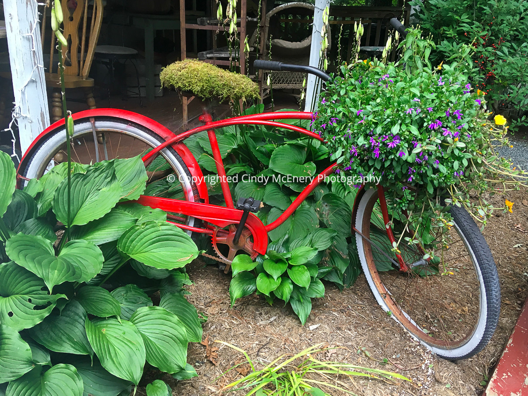 Linville Mercantile Bike #10