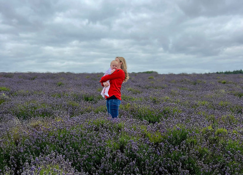 lavender.jpg