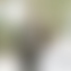 Intimate wedding in a vineyard near Barcelona, Spain