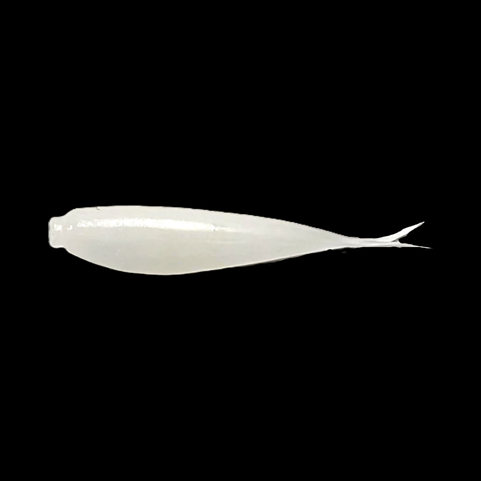 Ghost color Brush Zipper soft plastic fishing lure