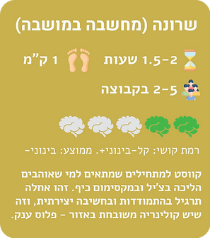 שרונה.png