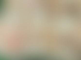 México y Chile adoptan certificación electrónica para productos cárnicos