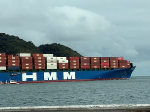 exportaciones de pollo en barco