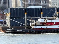 Guerra afecta producción y exportación de pollo de Brasil