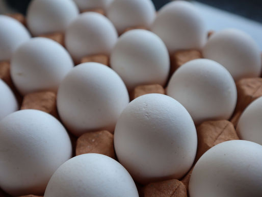 El Día Mundial de la Salud 2026 y el huevo