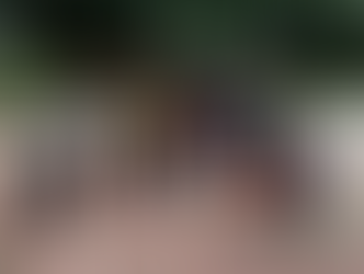 Newsletter Fracarita Netherlands