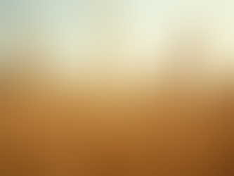 The Atfam Millet Varieties: The Atfam Millet Product Range Explained
