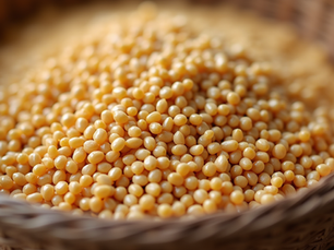 Finger Millet Health Benefits: A Nutritional Powerhouse