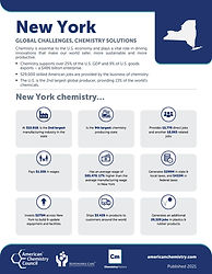 New-York Facts and Figure.jpg