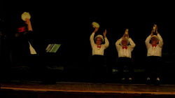 Starts and Stripes Forever.jpg