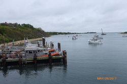 烟雨朦胧中 喜游科德角-4.jpeg