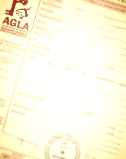 Asociaciones Ganaderas Locales