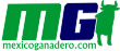 Empresa desarrolladora de software