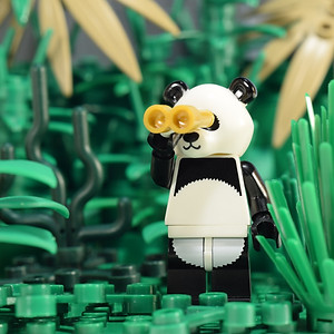 Agents of SHIELD fan video