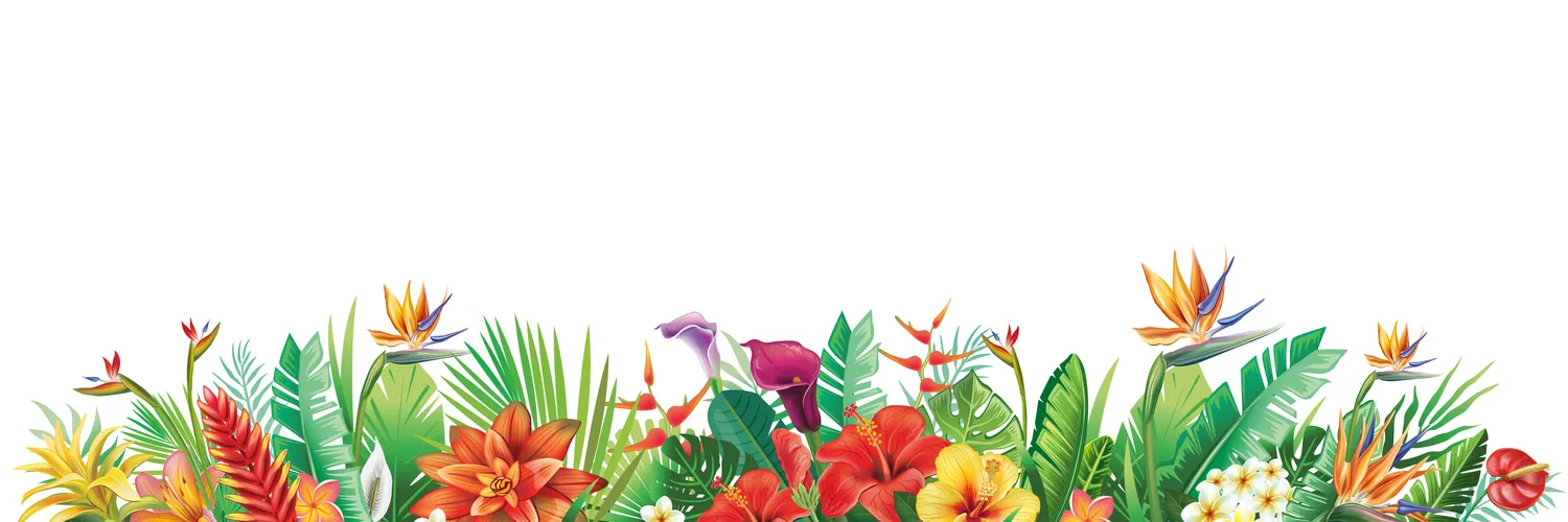 border-with-tropical-plants-and-flowers-vector-38904270.webp