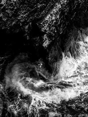 High-contrast black and white photography of a swirling sea vortex inside a dark cave at Bempton Cliffs, Yorkshire, with a lone white bird caught in the spray.