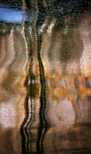 A harbour side ladder's reflection contorts and twists in calm waters at Porthgain in Pembrokeshire.