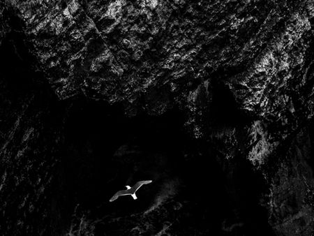 A high-contrast black and white photograph of a lone seabird in flight against a dark, towering cliff at Bempton Cliffs, Yorkshire, with churning waves below.