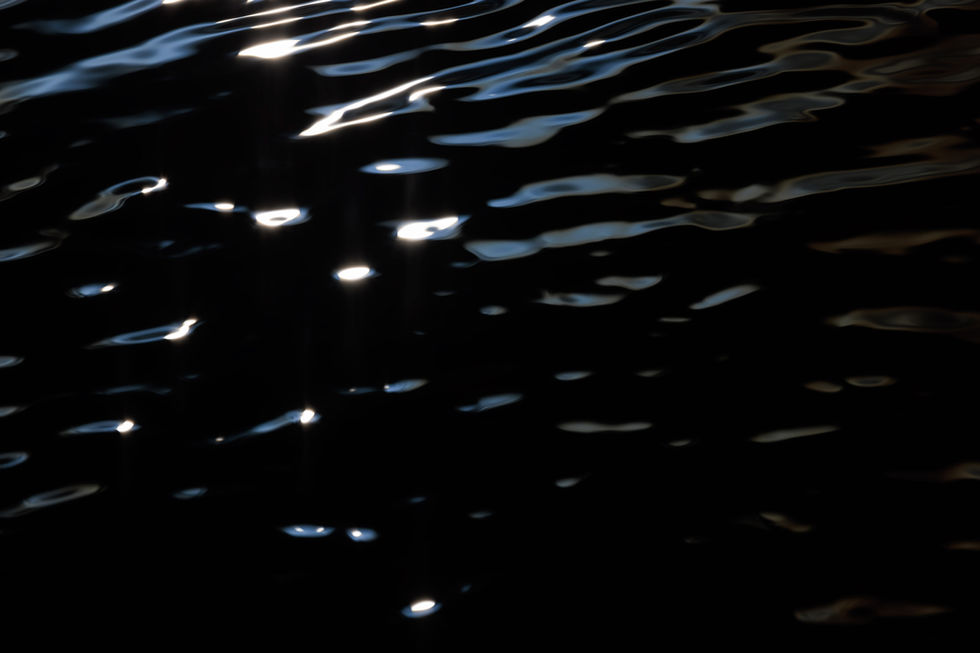 Light catches the surface of a dark patch of water.