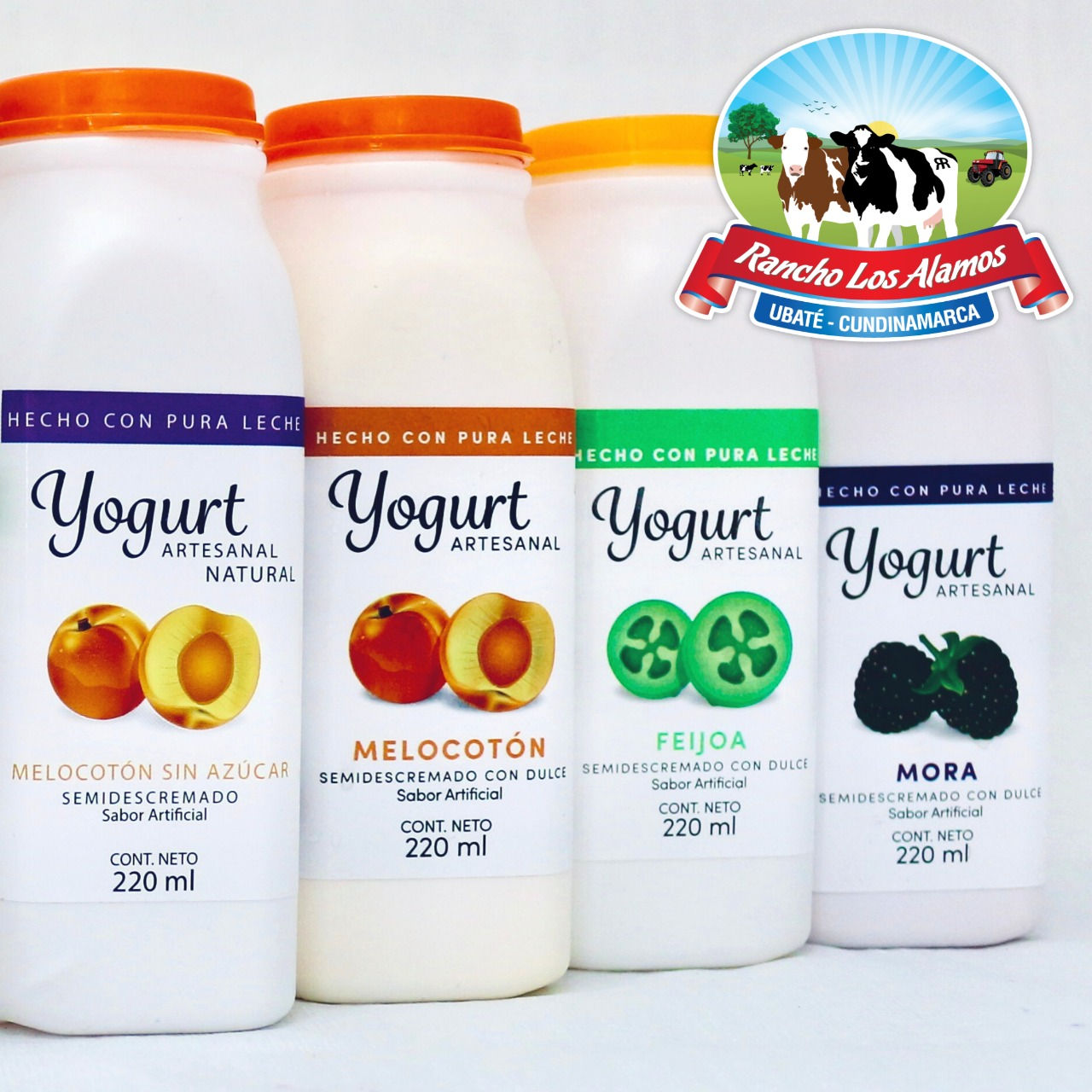 6 yogures de 220ml a elección