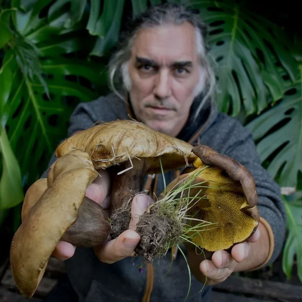 alejandro sequeira