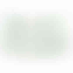 יומהולדת דינו