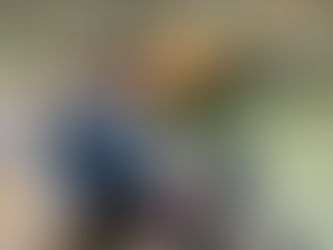 8月31日午前の様子