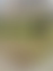 今週の子供たち🐻