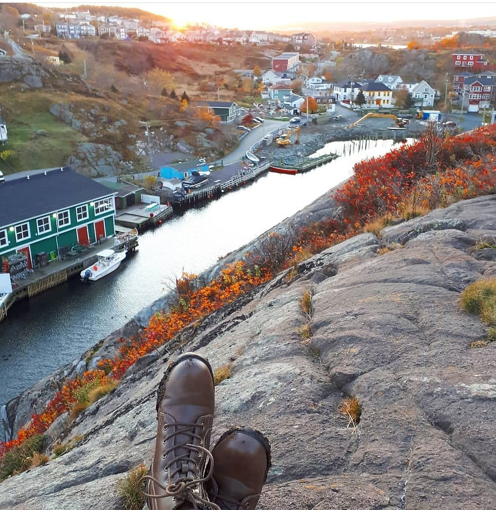 Image of Quidi Vidi village, St. John's, Newfoundland in the summer