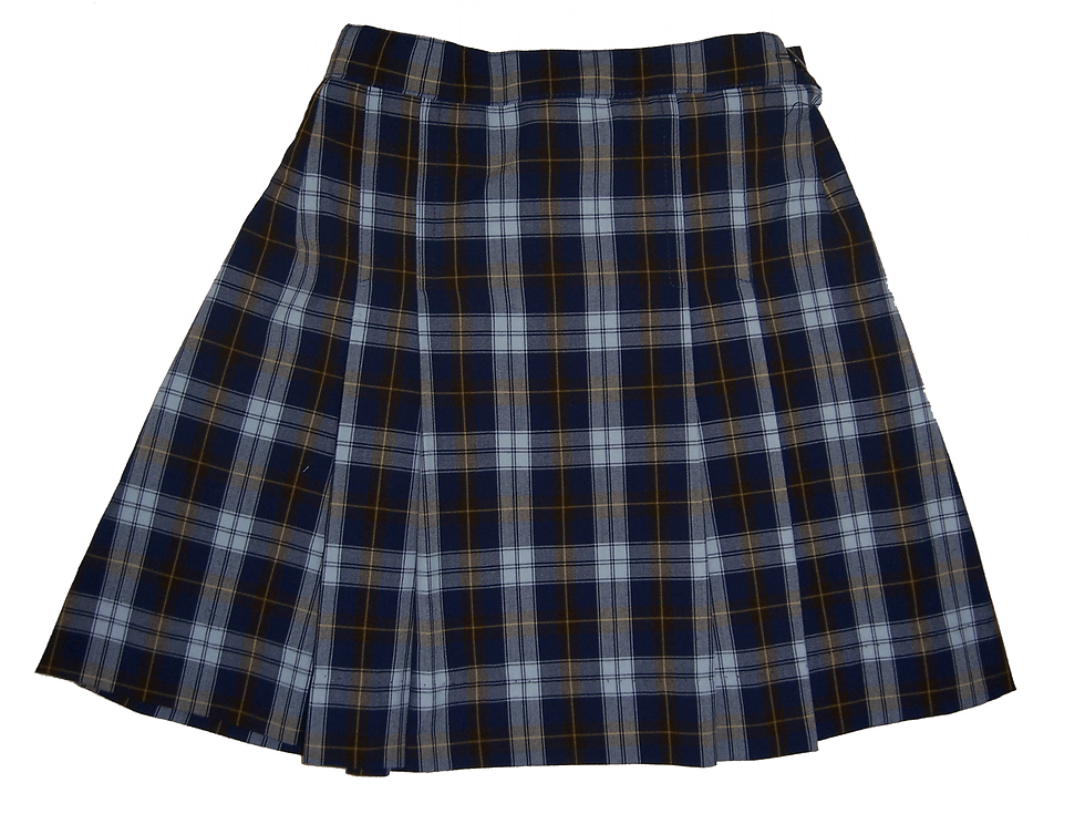 skirt3