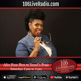 Afro Fuse Box.jpg