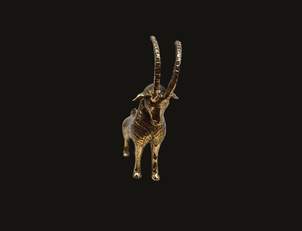 Miniaturbild: Steinbock