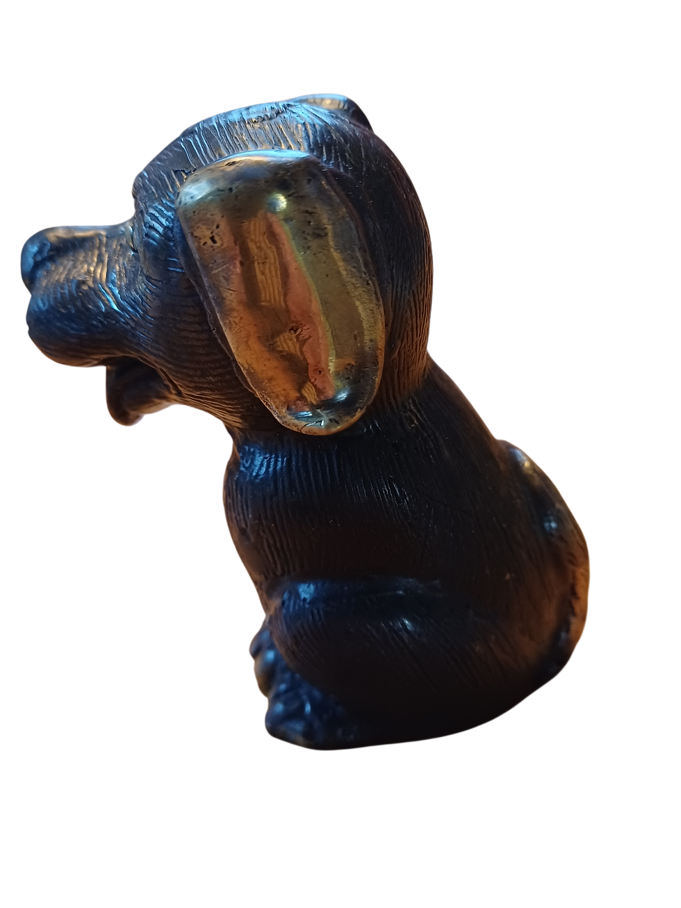 Miniaturbild: Hund mit hängenden Ohren