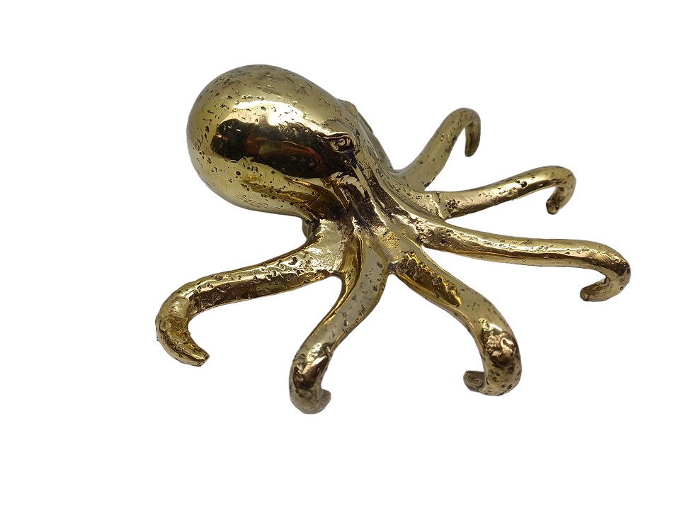 Thumbnail: octopus standing